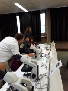 20171222_145255_preview-225x300