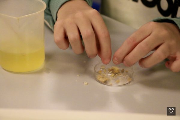 Chimie amusante_Pix'Elles_dec23-16