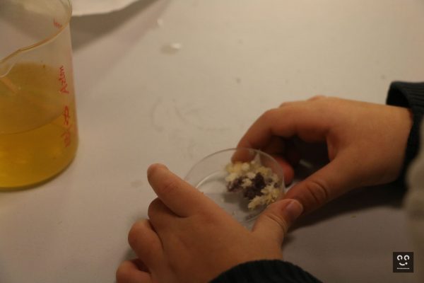 Chimie amusante_Pix'Elles_dec23-22