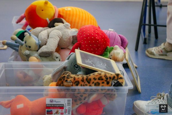 Pix'elles-peluchologie-animation-classification-dec23-1