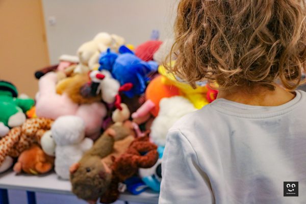 Pix'elles-peluchologie-animation-classification-dec23-16