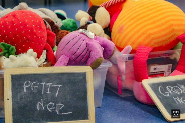 Pix'elles-peluchologie-animation-classification-dec23-2