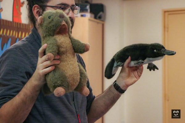 Pix'elles-peluchologie-animation-classification-dec23-3