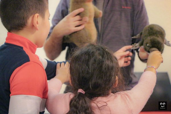 Pix'elles-peluchologie-animation-classification-dec23-4