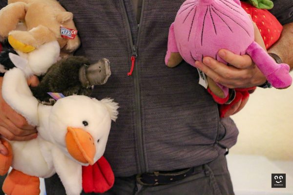 Pix'elles-peluchologie-animation-classification-dec23-7